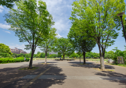 桃井原っぱ公園