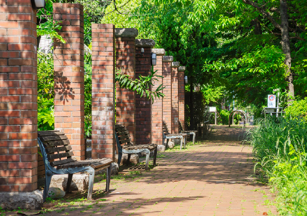 井草川遊歩道
