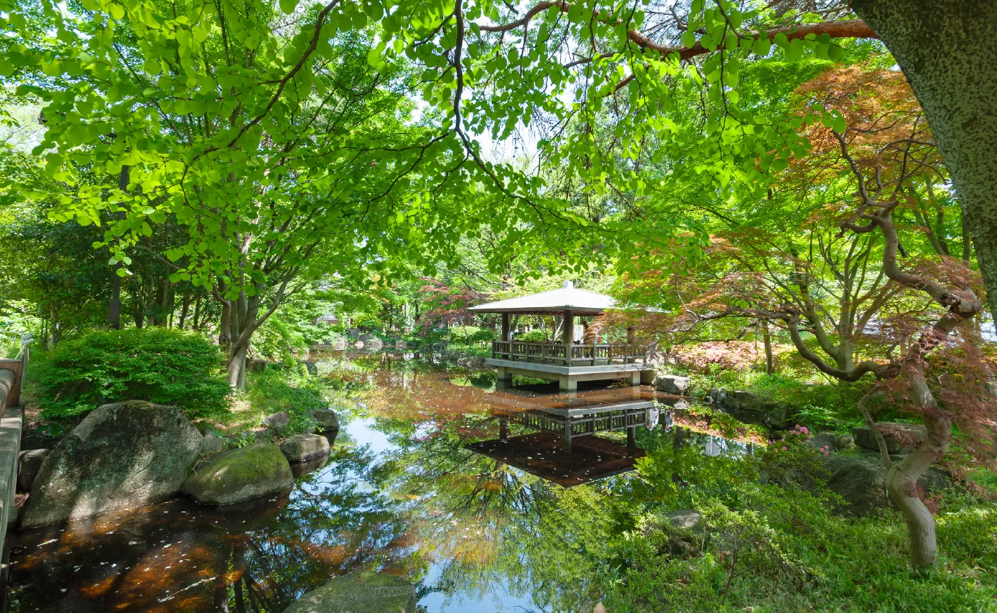 井草森公園（徒歩4〜5分・約300m〜327m）