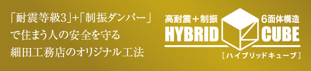 ハイブリッドキューブ