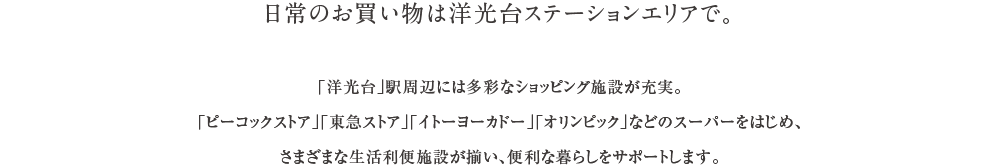 日常のお買い物は洋光台ステーションエリアで。