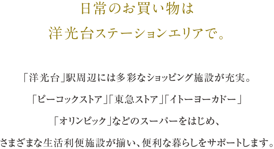 日常のお買い物は洋光台ステーションエリアで。