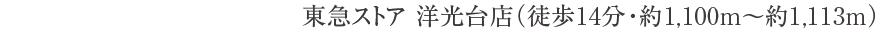 東急ストア 洋光台店（徒歩14分・約1,100m〜約1,113m）