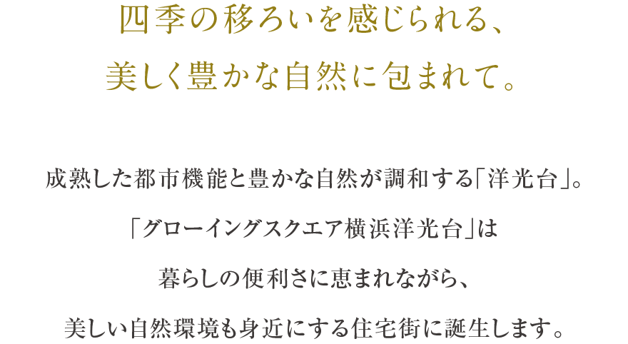 四季の移ろいを感じられる、美しく豊かな自然に包まれて。