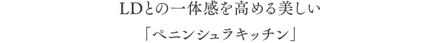 LDとの一体感を高める美しい「ペニンシュラキッチン」