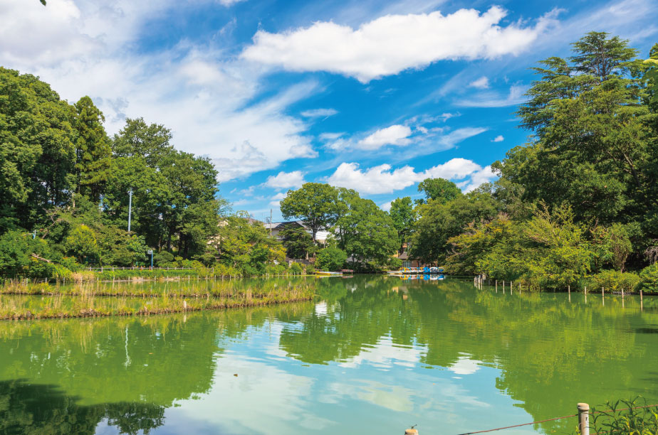 善福寺公園（徒歩3分・約210m～約230m）