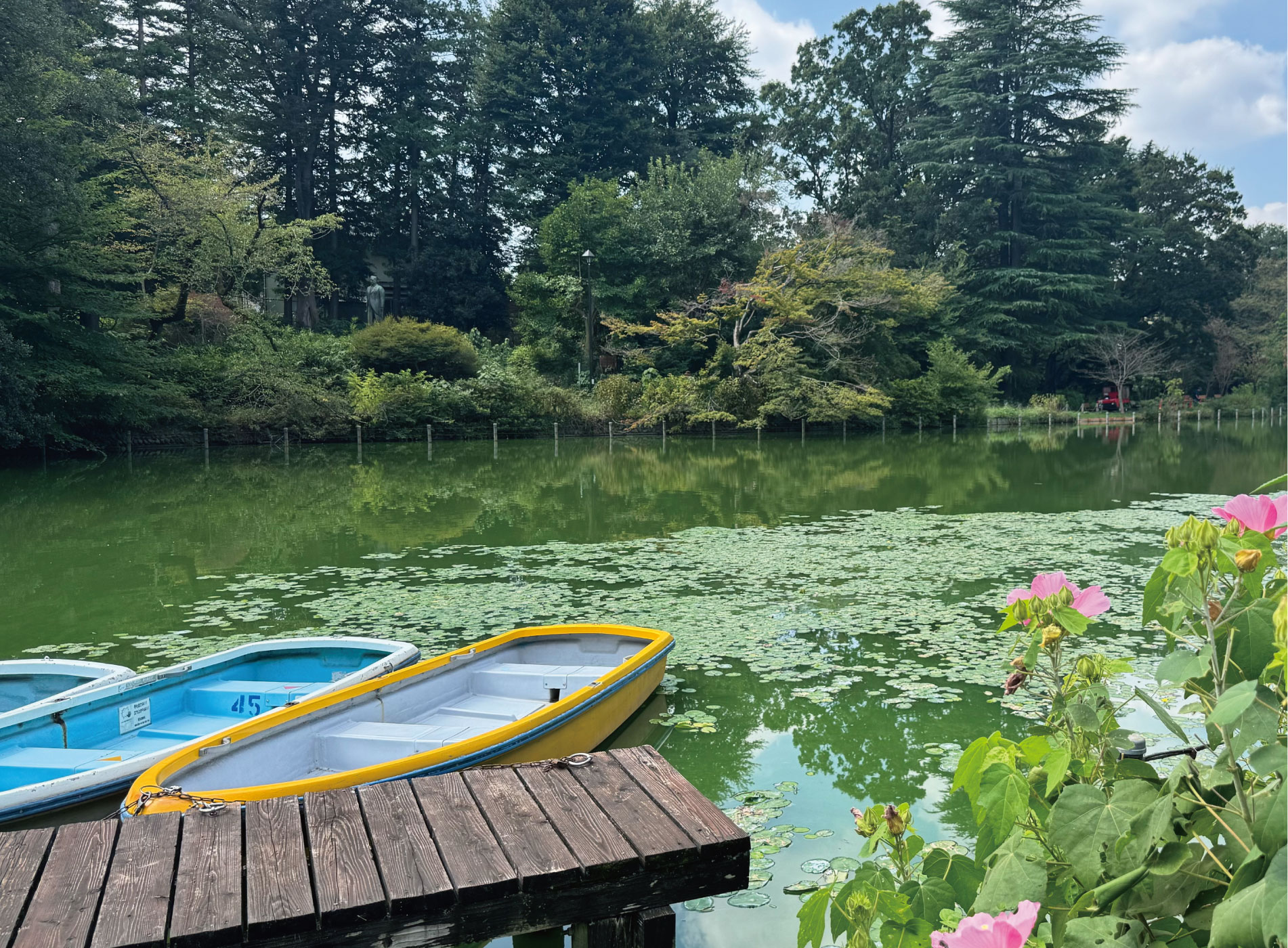善福寺公園（徒歩3分・約210m～約230m）