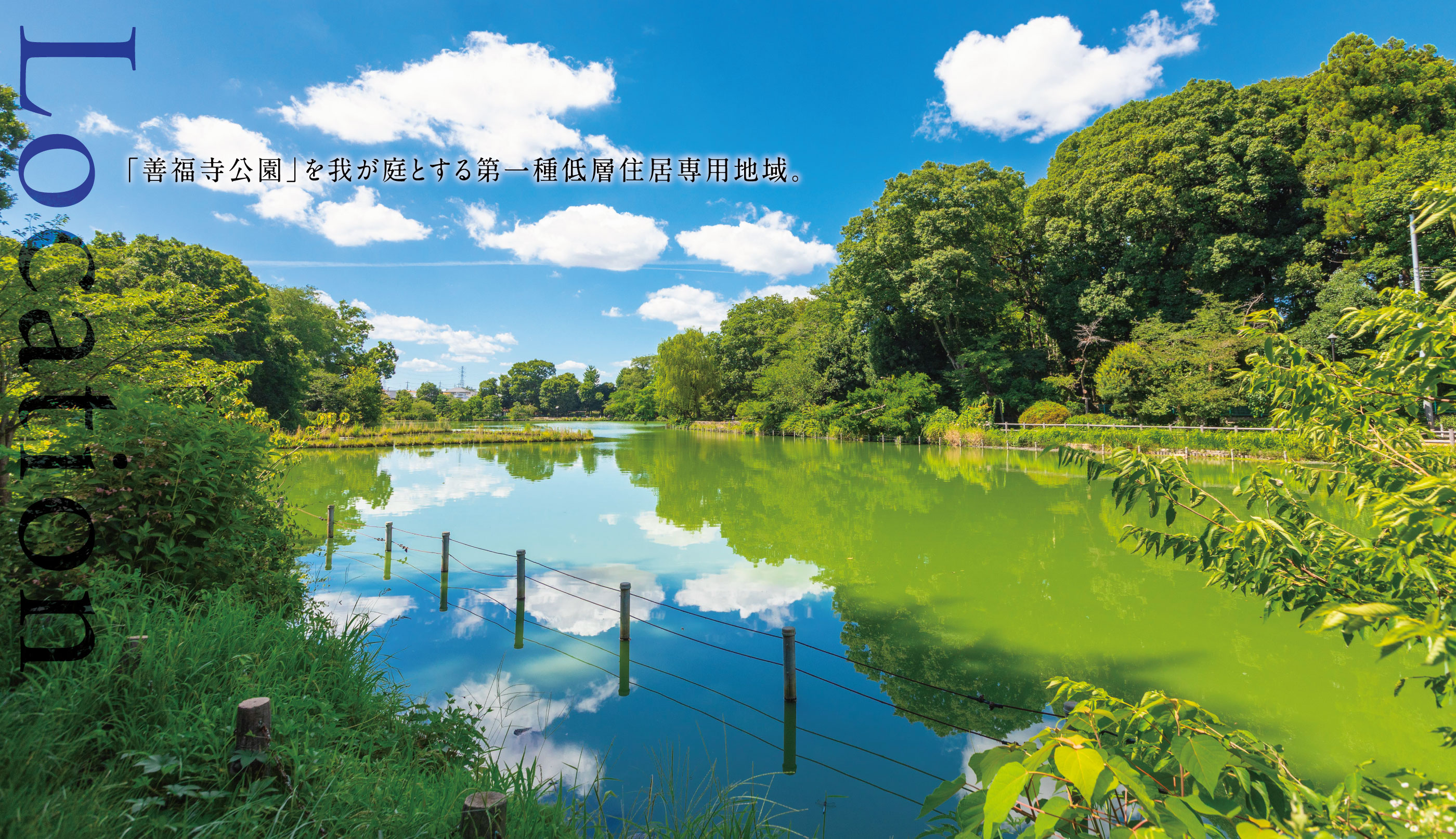 善福寺公園（徒歩3分・約210m～約230m）