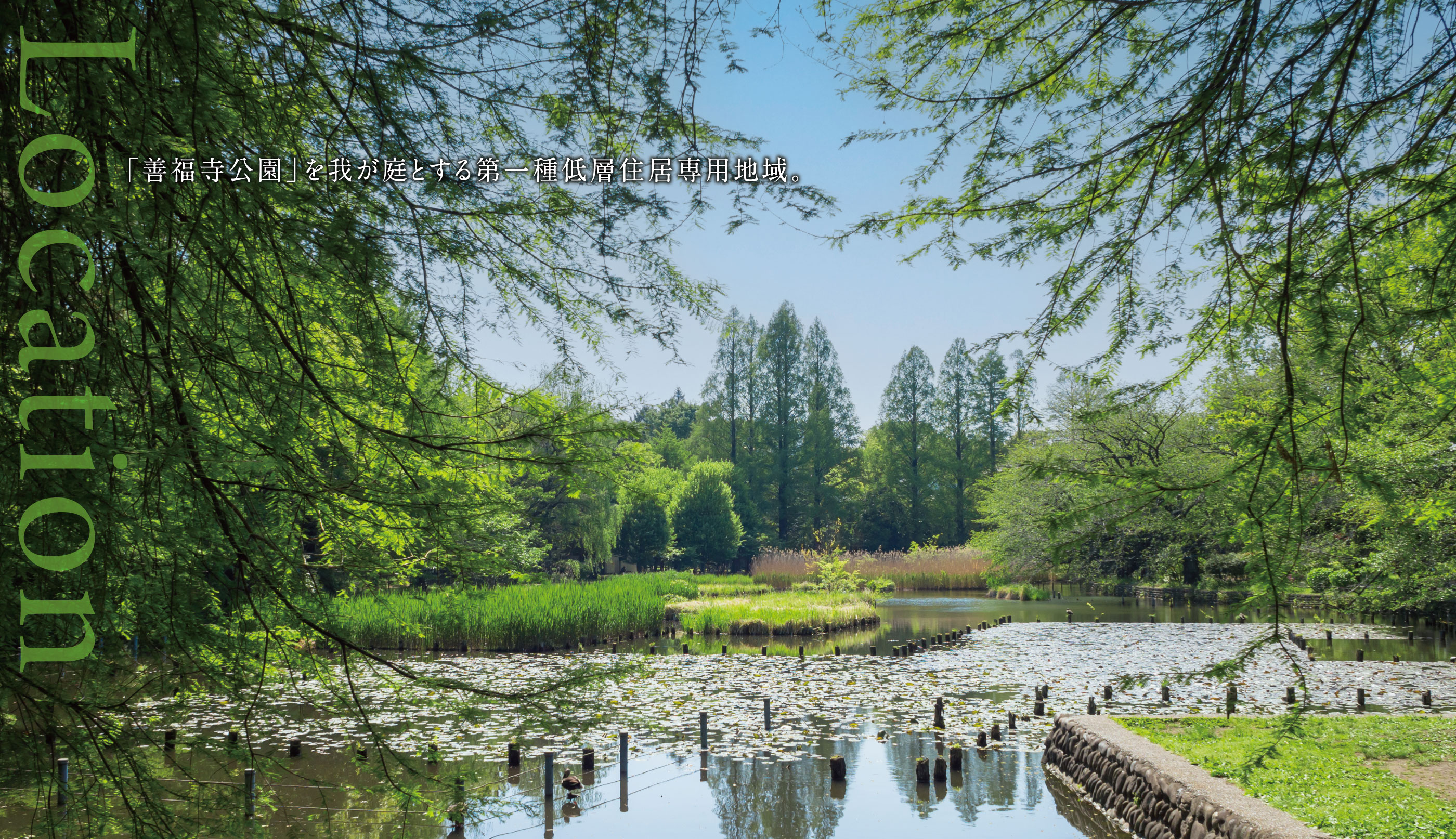 善福寺公園（徒歩3分・約210m～約230m）