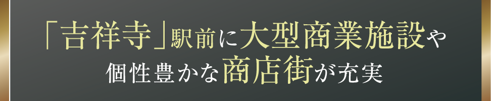 「吉祥寺」駅前に大型商業施設や個性豊かな商店街が充実